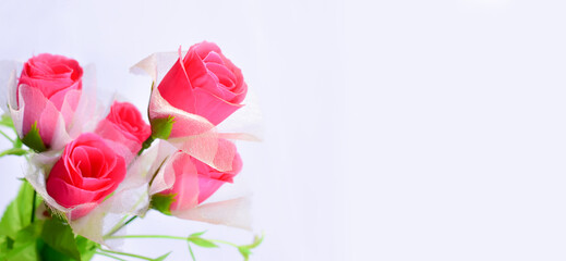 a bouquet of flowers isolate on white background with copy space isolate on white background, Close-up of flowers panoramic image
