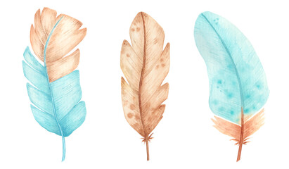 Hand drawn watercolor feathers. Set of colorful feathers sketch.