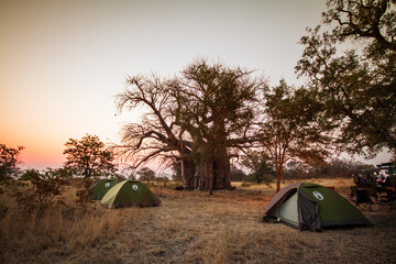 camping in the mountains