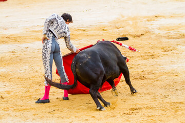 Bullfighter