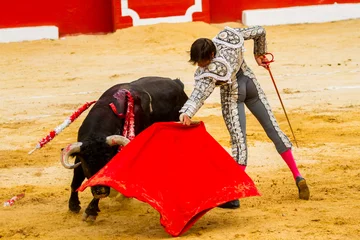 Zelfklevend Fotobehang Bullfighter © M6