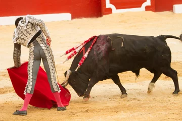 Tuinposter Bullfighter © M6