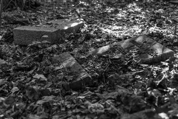 Old graves in a forest, old cemetery, graves no one cares about, overgrown graves, black and white photo, dark photo