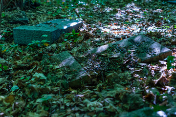 Old graves in a forest, old cemetery, graves no one cares about, overgrown graves