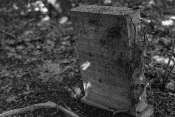 Old graves in a forest, old cemetery, graves no one cares about, overgrown graves, black and white photo, dark photo
