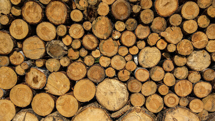 Dry felled logs stacked on top of each other. Firewood is on the heap. Sawn trees piled by a wall....
