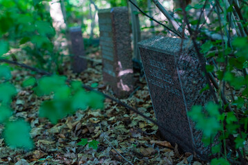 Old graves in a forest, old cemetery, graves no one cares about, overgrown graves
