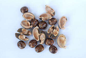 Rubber seed isolated on white background 
