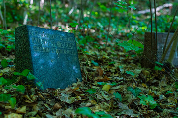 Old graves in a forest, old cemetery, graves no one cares about, overgrown graves