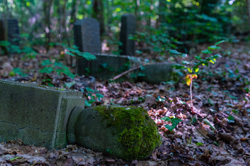 Old graves in a forest, old cemetery, graves no one cares about, overgrown graves