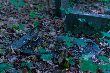 Old graves in a forest, old cemetery, graves no one cares about, overgrown graves