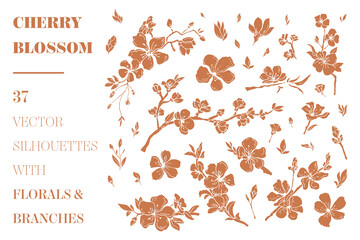 Vector cherry branches and florals - 355626600