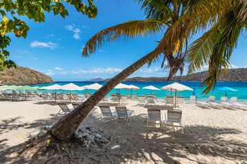 Group sun loungers for relaxation and sunbathing under umbrellas and palm tree on a sandy beach caribbean sea. Summer Vacation Travel Concept.