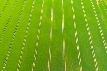 Aerial view over green lush agricultural crop fields