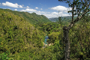 Obraz premium Nature in Cuba