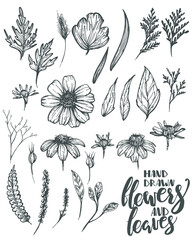 Hand drawn flowers and leaves, floral set, vintage style