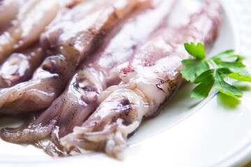 fresh squid or cuttlefish with parsley on the plate