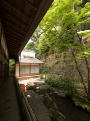 Fototapeta premium Templo Eikando, en Kioto, Japón