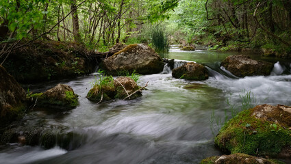 Fototapeta na wymiar Full-flowing river in a green sunny forest.