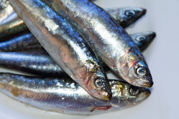 plate of fresh sardines on the plate