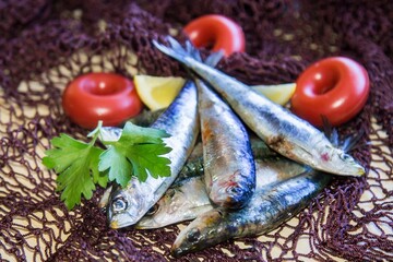 fresh sardines with parsley on the fishing net