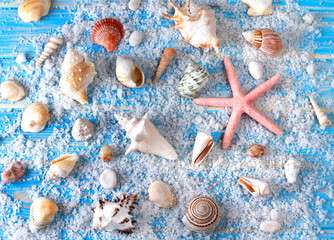 Background of seashells and starfishes on blue wooden planks