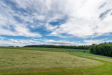 Trocknendes Heu in Landschaft