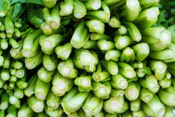 Close-up of a bunch of green onions in a store window