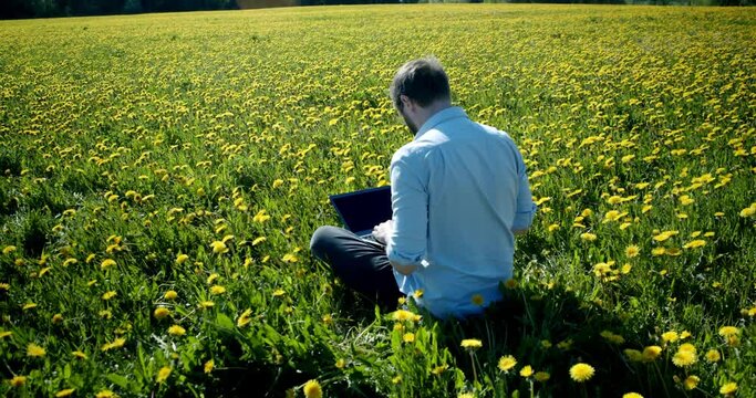 cause i m in a field of dandelions meaning