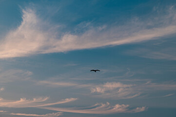 空