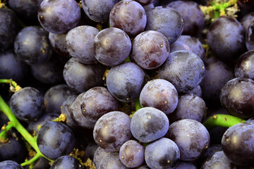 Black Grape