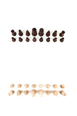 two army of chess pieces on a white background top view