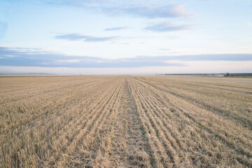 Beautiful agricultural field during cereal harvest