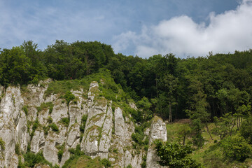 Trees on the slopes of the mountains. Blue cloudy sky.  