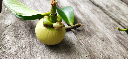 Green mangosteen on the wood surface in Thailand
