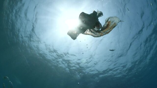 plastic bag underwater looks like jelly fish with sun rays and beams coming behind sun light ocean pollution