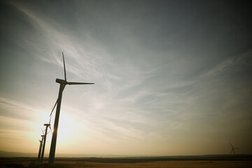 Obraz premium Sustainable energy concept