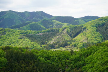 Fototapeta na wymiar 日本の田舎　夏休み　山　風景