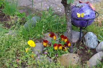 Fototapete bei efototapeten.de bestellen   