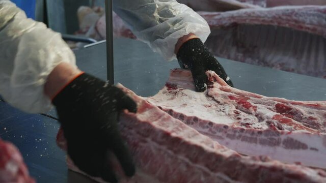 raw frozen meat piece saw factory industry