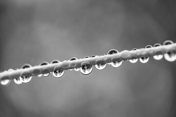 water drops on a clothesline on a rainy day