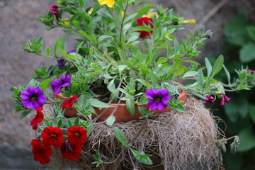 Fototapete bei efototapeten.de bestellen   