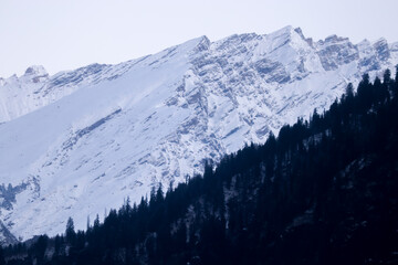 snow-covered mountain in the background with mountain covered with pine trees in the front. focus on infinity.