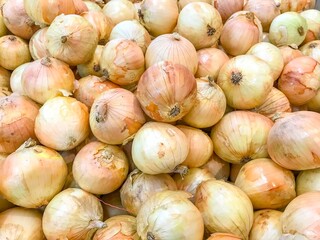 onions on the market