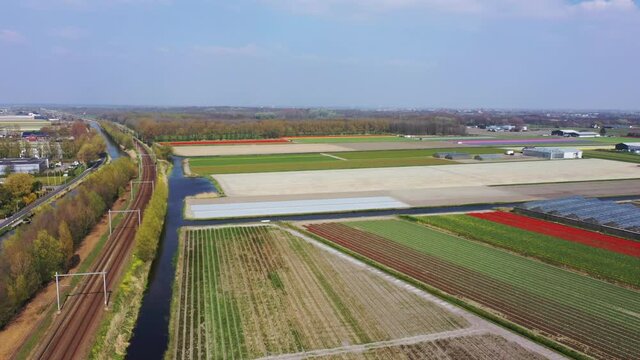 Aerial view of tulip bulb-fields in springtime, Holland, the Netherlands