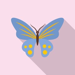 Classic butterfly icon. Flat illustration of classic butterfly vector icon for web design