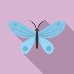 Island butterfly icon. Flat illustration of island butterfly vector icon for web design