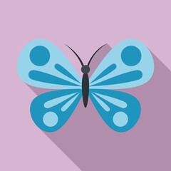 Jungle butterfly icon. Flat illustration of jungle butterfly vector icon for web design