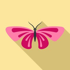 Beautiful butterfly icon. Flat illustration of beautiful butterfly vector icon for web design