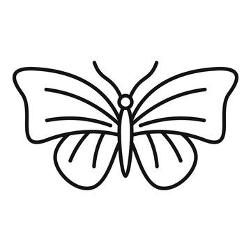 Moth butterfly icon. Outline moth butterfly vector icon for web design isolated on white background